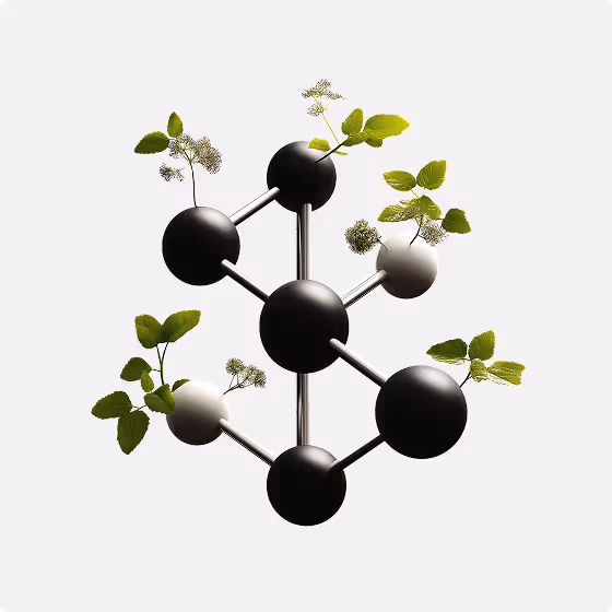 Analitik Test ve Doğrulama