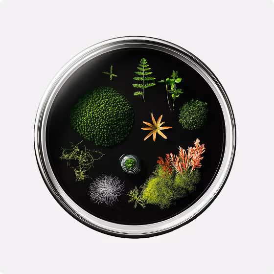 Çevresel ve Malzeme Analizi